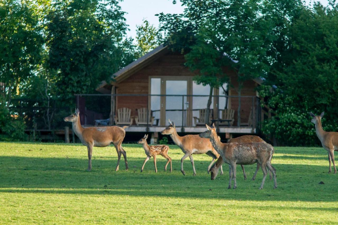 Parc Animalier De Sainte-Croix Hotel Rhodes Buitenkant foto