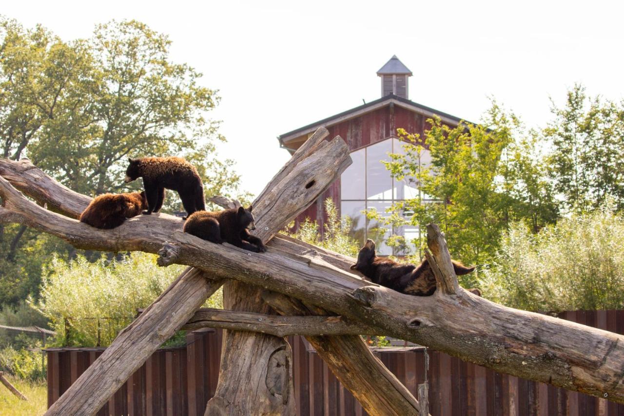 Parc Animalier De Sainte-Croix Hotel Rhodes Buitenkant foto