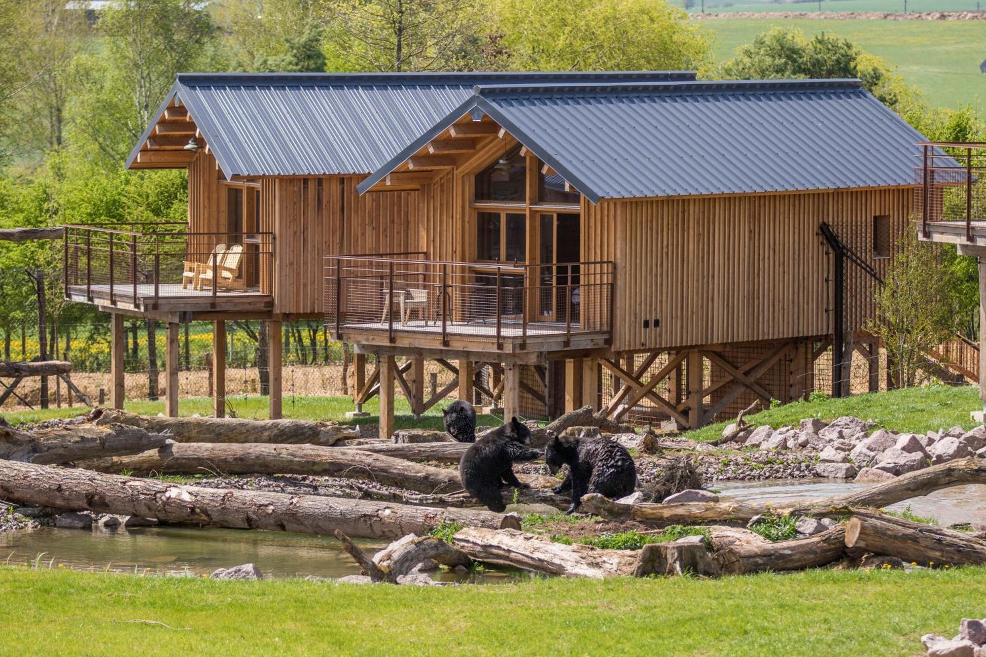 Parc Animalier De Sainte-Croix Hotel Rhodes Buitenkant foto